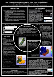 Does finite element simulation have a role to play in foot and ankle surgery?