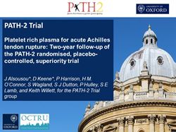 PATH-2 trial: platelet rich plasma for acute Achilles tendon rupture, two-year follow-up of the randomised, placebo-controlled, superiority trial