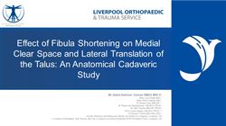 Effect of fibula shortening on medial clear space and lateral translation of the talus: an anatomical cadaveric study