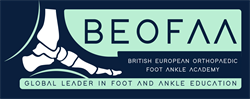British European Orthopaedic Foot and Ankle Fellowship
