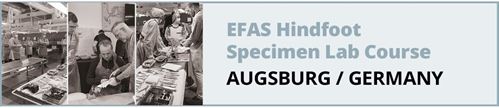 EFAS Hindfoot Course