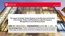 The Impact of Achilles Tendon Rupture on the Structure and Function of the Achilles Tendon and Plantarflexors after Non-Surgical Management: A Cross-Sectional Study