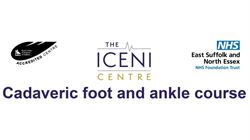 Cadaveric Foot & Ankle Course