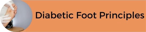 BOFAS Diabetic Foot Principles Course