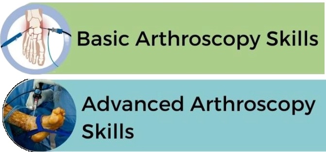 BOFAS Basics & Advanced Arthroscopy Skills Course