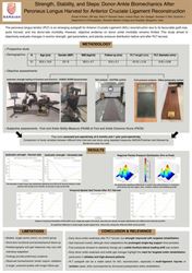Donor Ankle Morbidity Following Peroneus Longus Tendon Harvest for Anterior Cruciate Ligament Reconstruction: A Prospective Evaluation