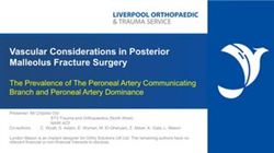 Vascular Considerations in Posterior Malleolus Fracture Surgery – The Prevalence of The Peroneal Artery Communicating Branch and Peroneal Artery Dominance